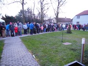 Rozsvícení stromečku - vánoce 2017